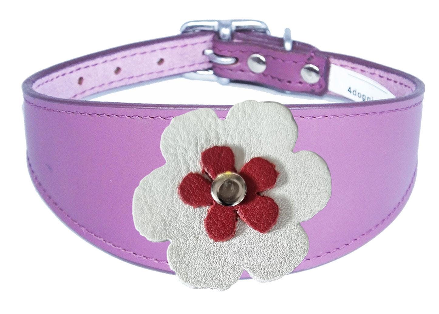 Decorative Flower Design Whippet Greyhound Sighthound Lurcher Leather Collar FD7-4