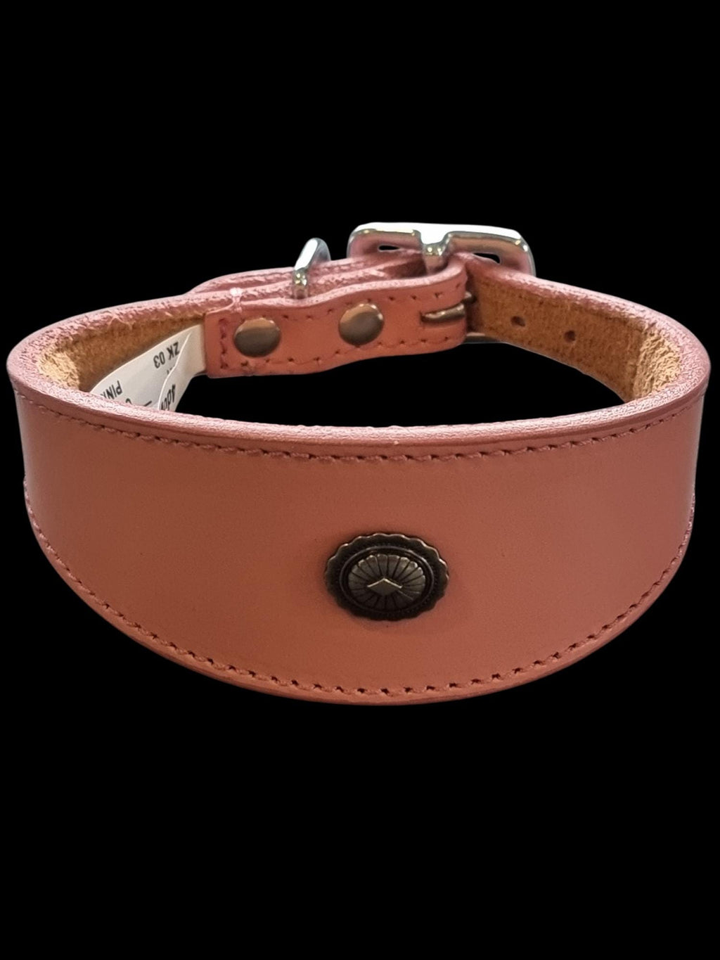 Leather Collar For Iggy, Whippet Greyhound Lurcher Decorative Stud Design DS2