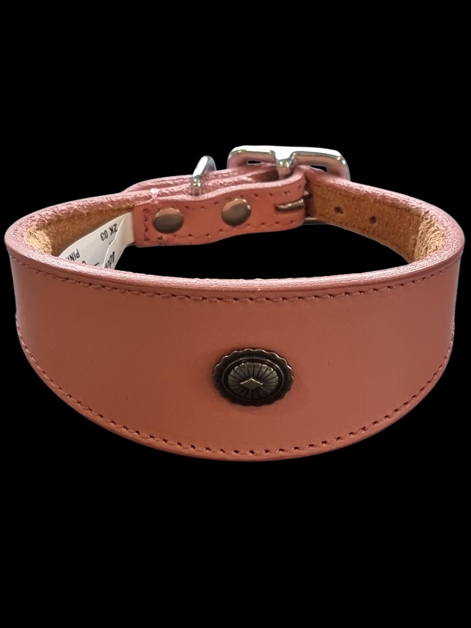 Leather Collar For Iggy, Whippet Greyhound Lurcher Decorative Stud Design DS2