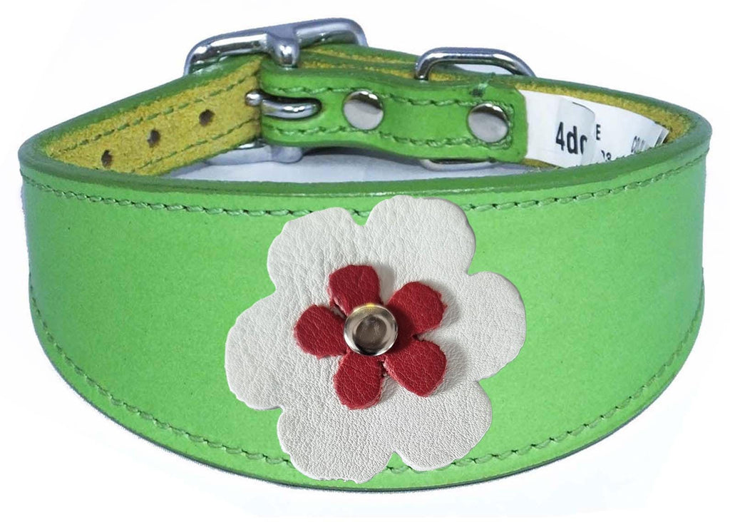 Decorative Flower Design Whippet Greyhound Sighthound Lurcher Leather Collar FD7-4