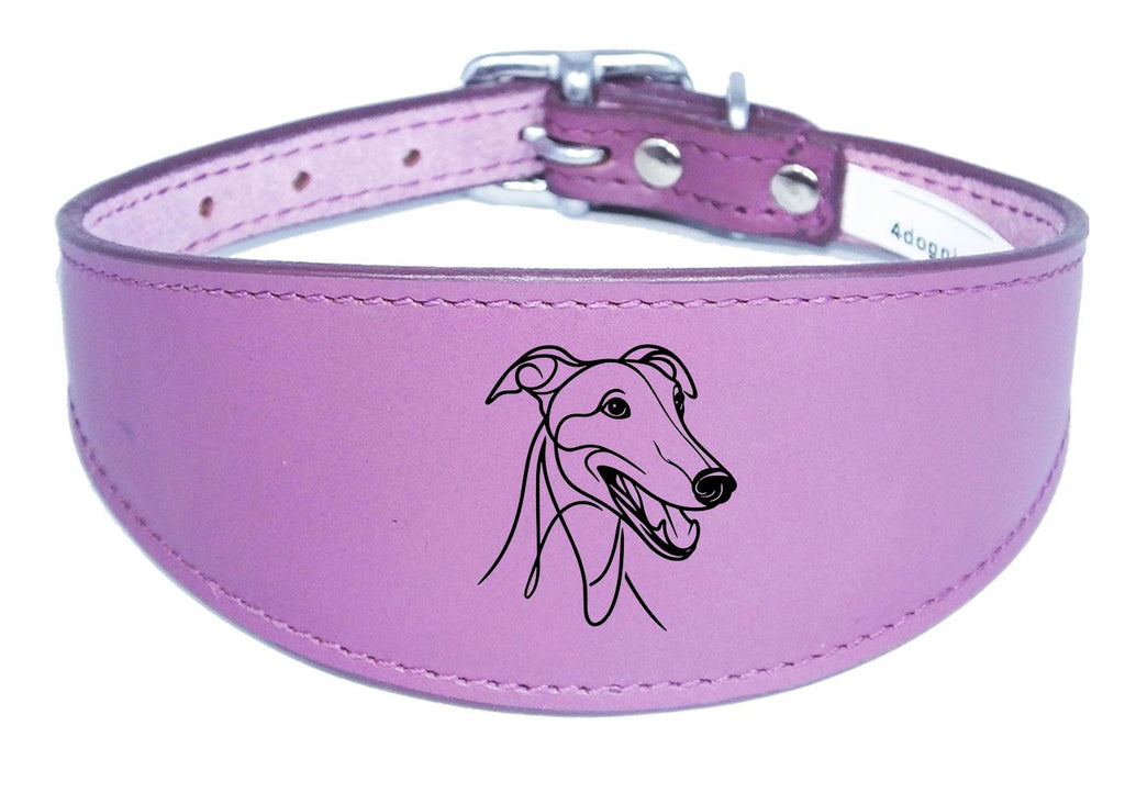 Sighthound Leather Greyhound Whippet Dog Collar with Padded Backing NL 3