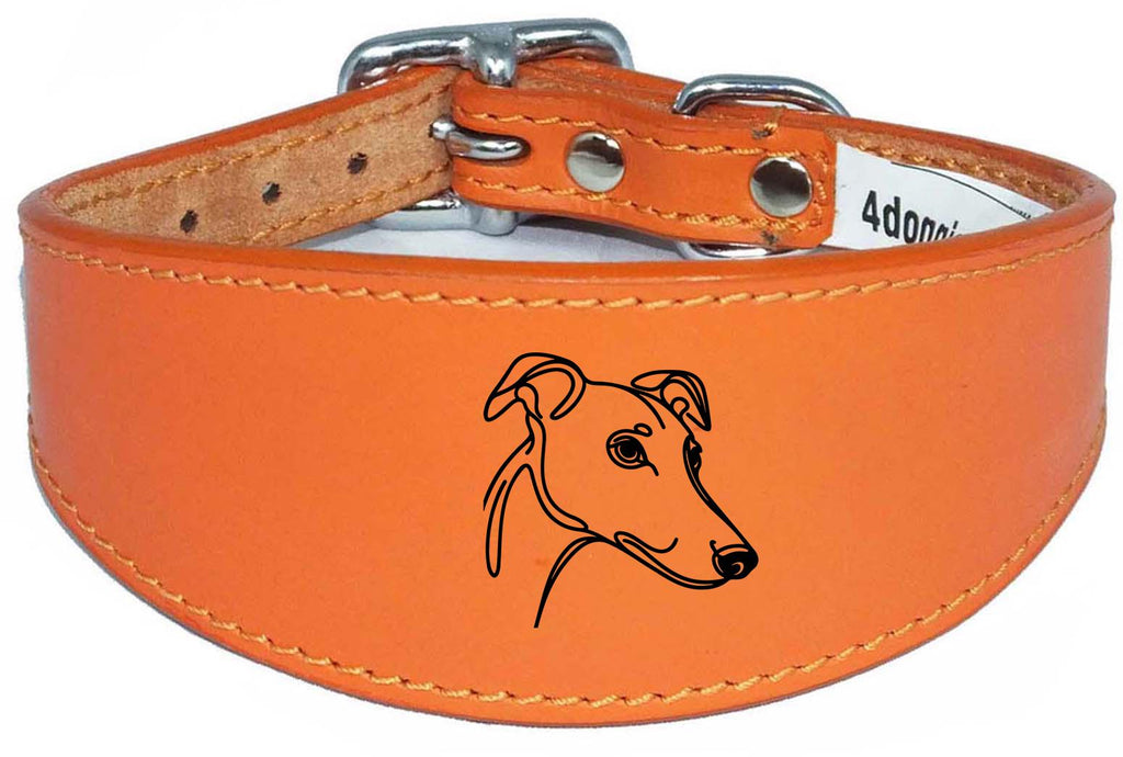 Padded Leather Collar For Greyhound Whippet Sighthound NL 31