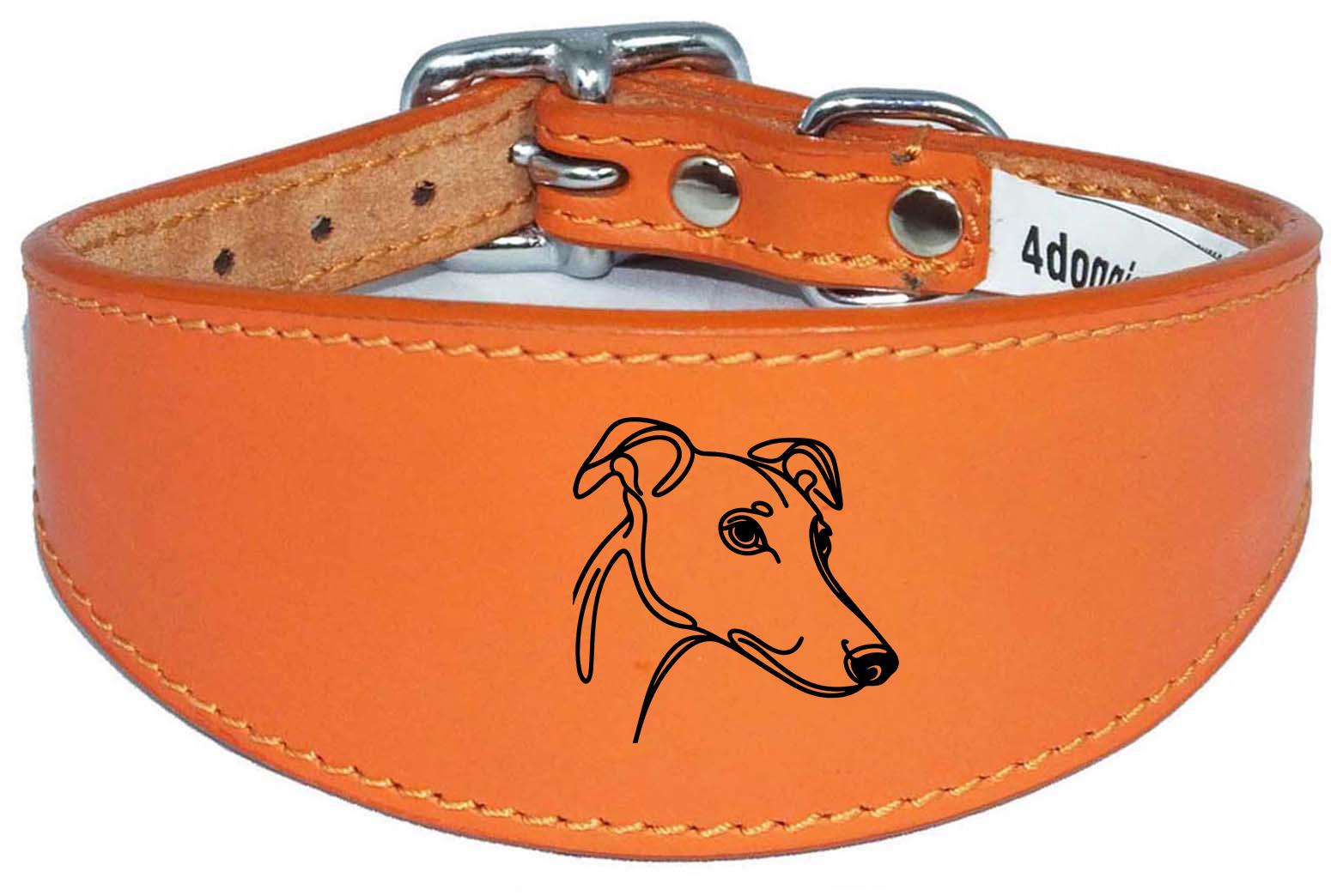 Padded Leather Collar For Greyhound Whippet Sighthound NL 31