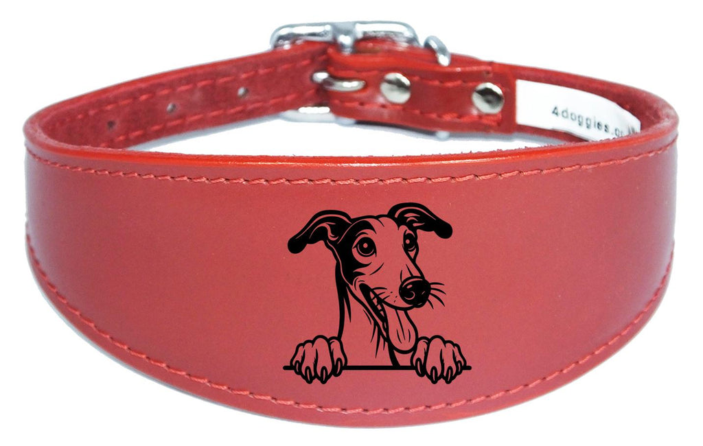 Iggy Greyhound Whippet Sighthound Padded Leather Collar NL 28