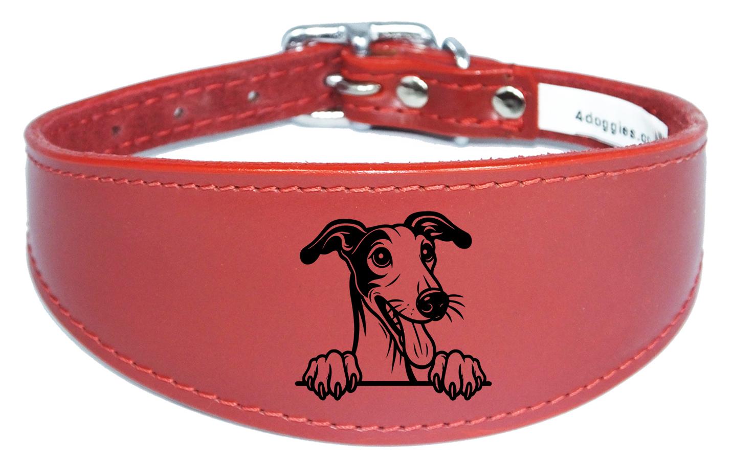Iggy Greyhound Whippet Sighthound Padded Leather Collar NL 28