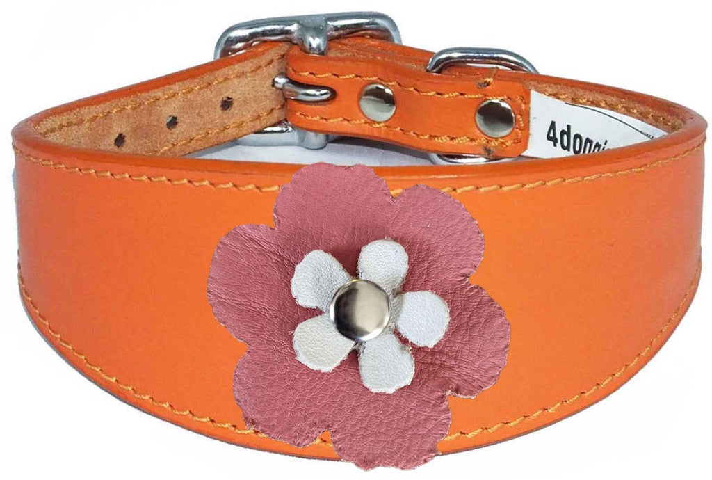 Decorative Flower Design Whippet Greyhound Sighthound Lurcher Leather Collar FD6-7