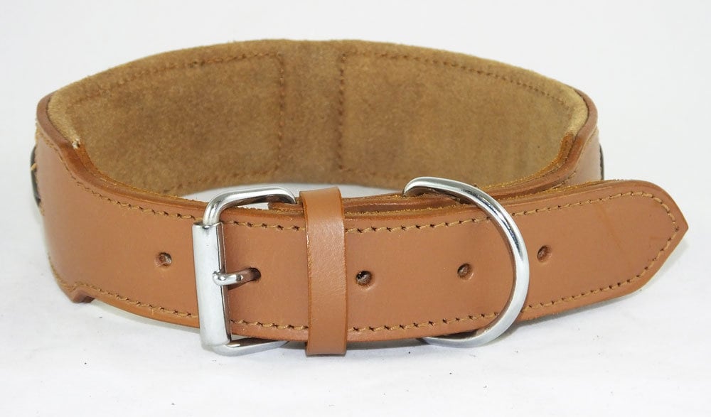 Leather Padded collar Staffordshire Bull Terrier Dog Collar Padded Dog Collars Staffy Bulldog Stars