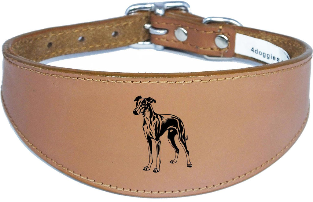 Luxury Greyhound Whippet Sighthound Padded Leather Collar NL 27