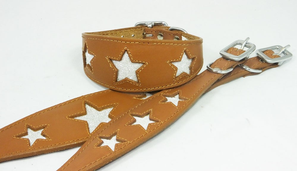 Tan Leather Whippet Collar Greyhound Collar Sparkle Glitter Star Sighthound Dogs