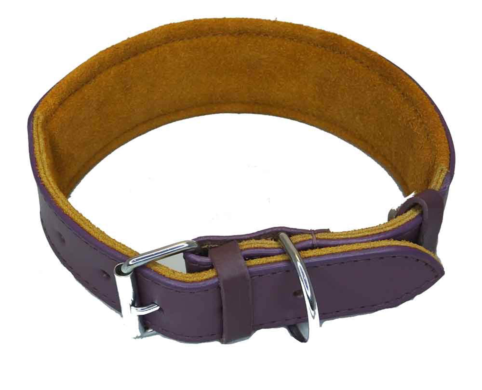 Leather Staffordshire Bull Terrier Dog Collar Padded Dog Collars Staffy Bulldog Padded collar D19