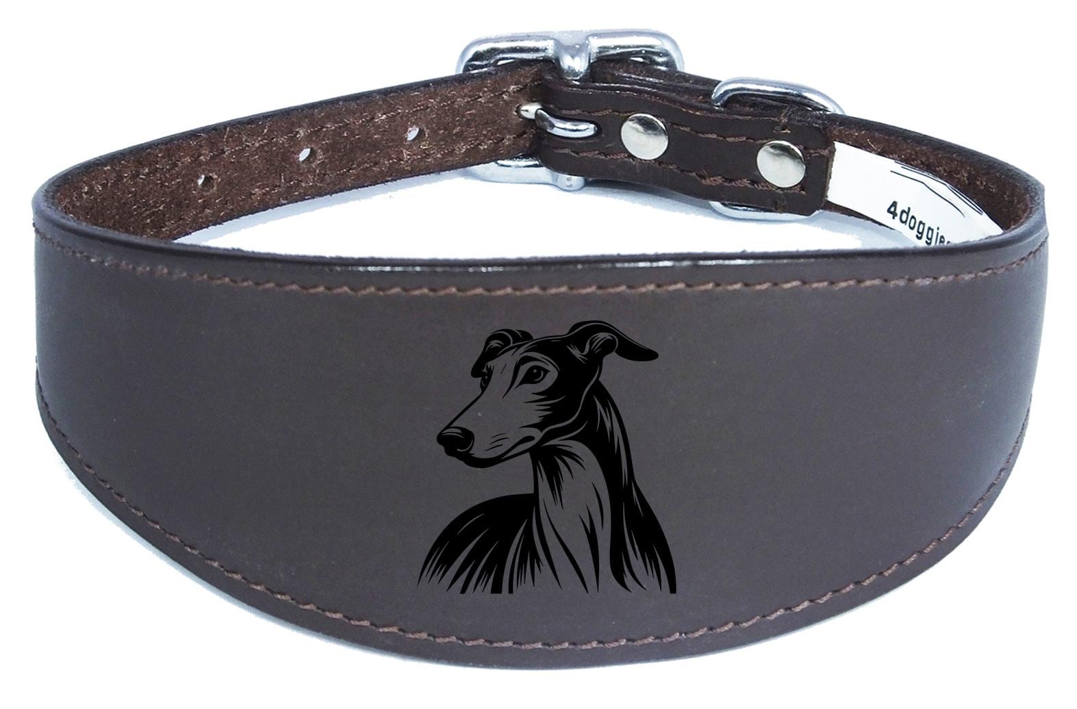 Whippet Greyhound Sighthound Padded Leather Luxury Collar NL 24