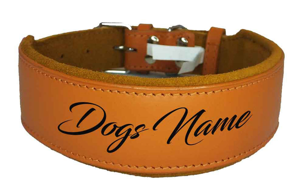 Personalised Leather Staffy Dog Collar Bull Terrier Bulldog Dogs Name Collar