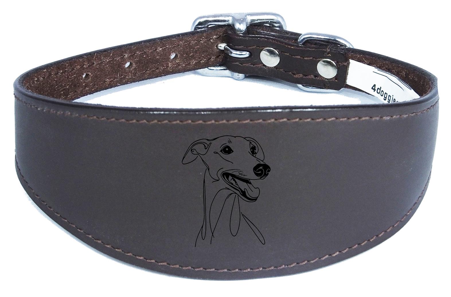 Leather Sighthound Greyhound Whippet Dog Collar with Padded Backing NL 4