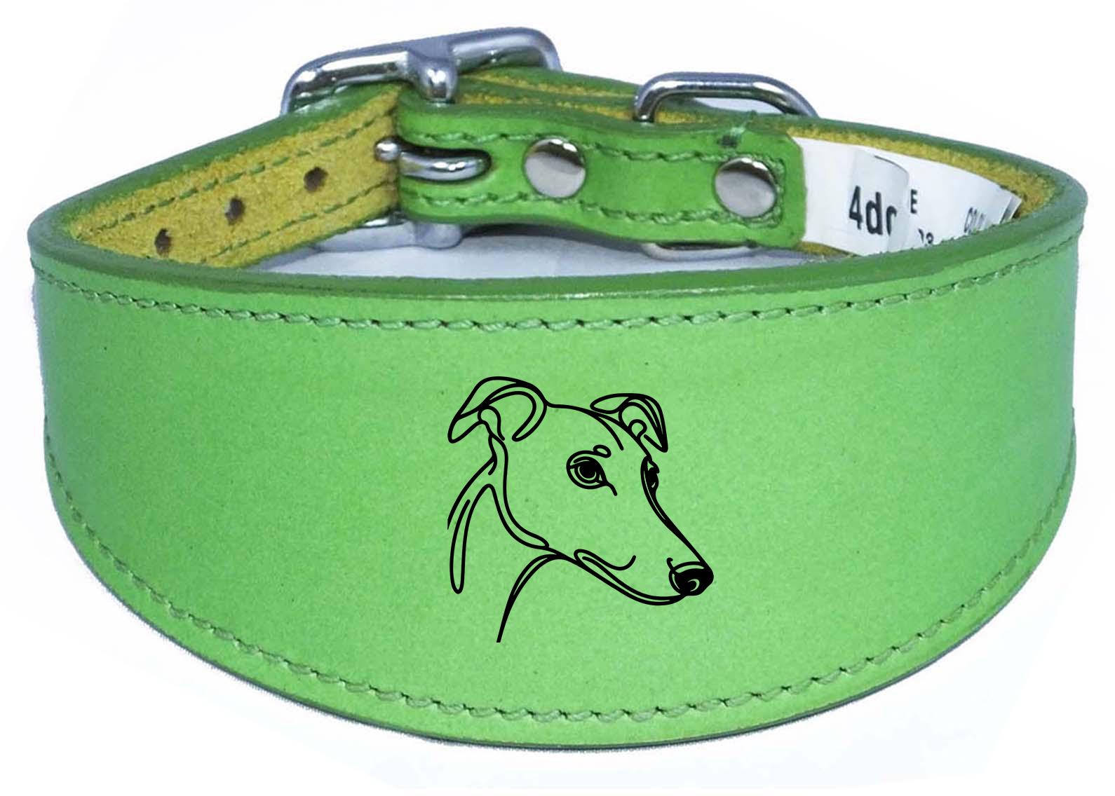 Padded Leather Collar For Greyhound Whippet Sighthound NL 31