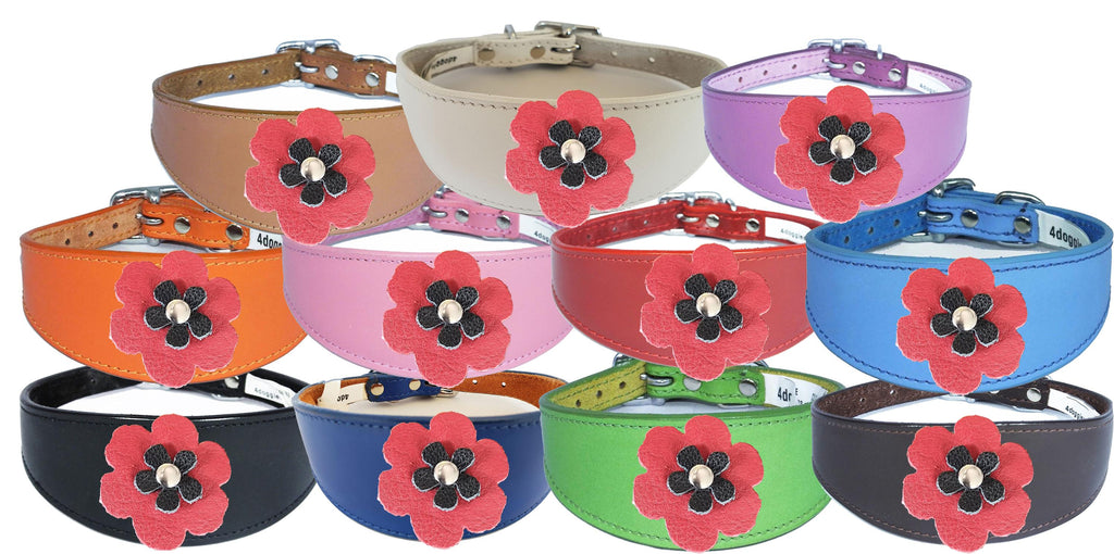Greyhound Sighthound Whippet Lurcher Decorative Flower Design Leather Collar FD4-5