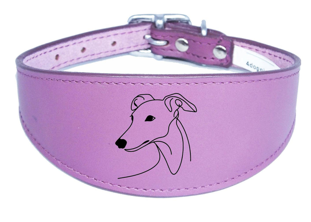Sighthound Whippet Dog Collar Leather Greyhound with Padded Backing NL 7