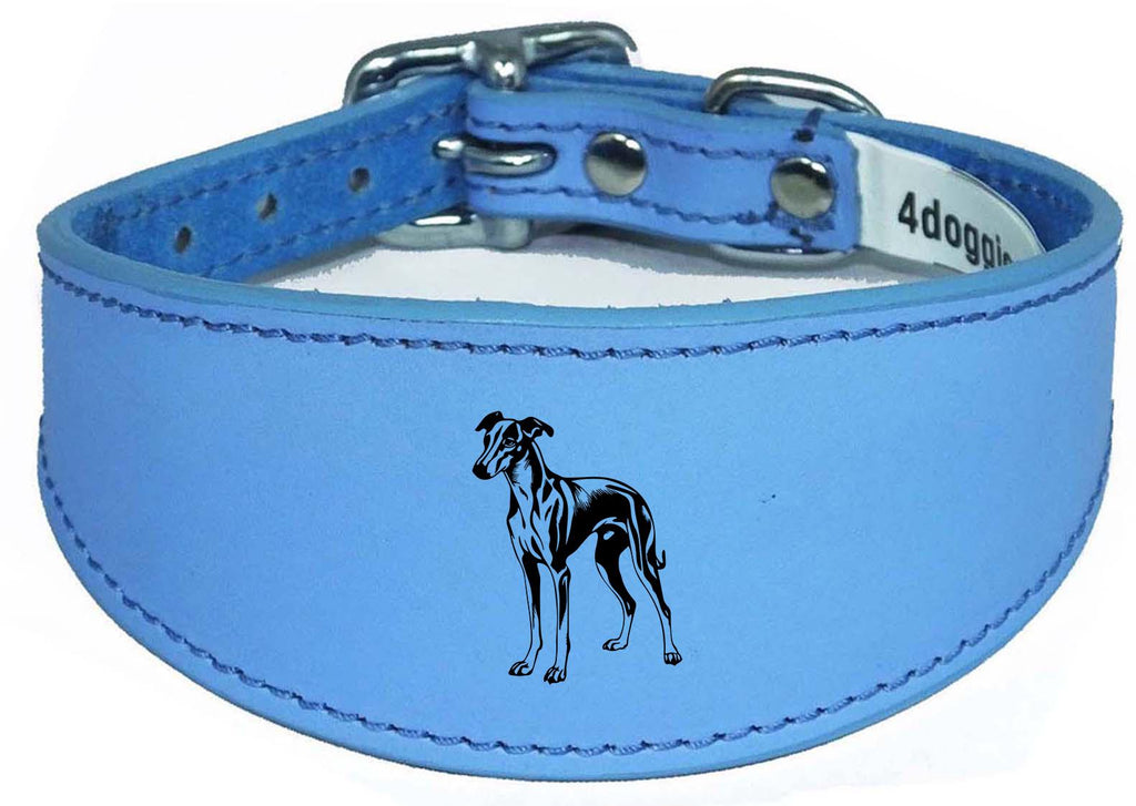 Luxury Greyhound Whippet Sighthound Padded Leather Collar NL 27