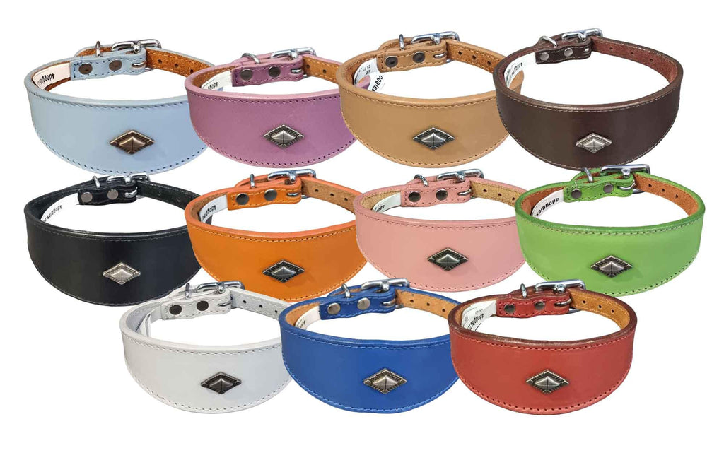 Leather Collar For Whippet Greyhound Lurcher Decorative Stud Design DS 1
