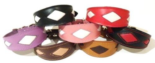 Black Leather Whippet Collar Greyhound Collar With Red Diamond Shape Design