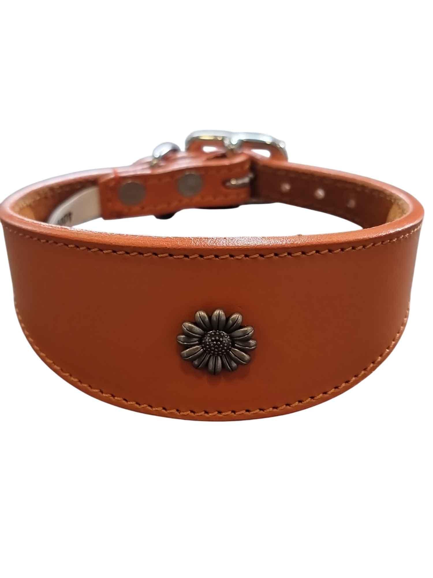 Iggy, Whippet, Greyhound, Lurcher Leather Collar Decorative Stud Design DS 4
