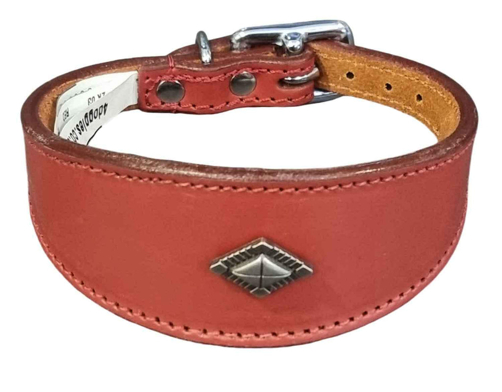 Leather Collar For Whippet Greyhound Lurcher Decorative Stud Design DS 1