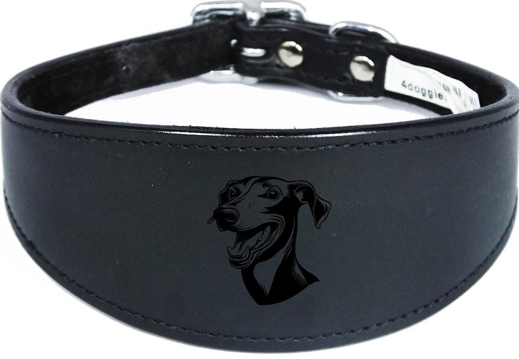 Handmade Wide Leather Sighthound Whippet Greyhound Collar NL 44