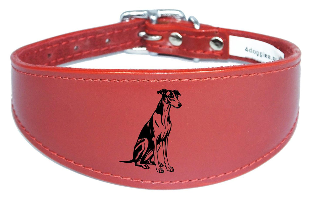 Luxury Whippet Greyhound Sighthound Padded Leather Collar NL 26