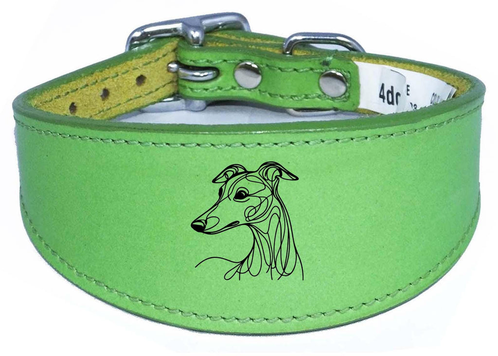 Padded Leather Collar Iggy Greyhound Whippet Sighthound NL 30