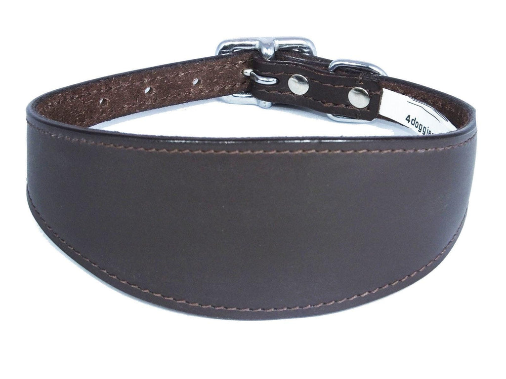 Iggy, Whippet, Greyhound, Lurcher Plain Leather Collar Sude Backing