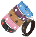 Leather Padded collar Staffordshire Bull Terrier Dog Collar Padded Dog Collars Staffy Bulldog Stars