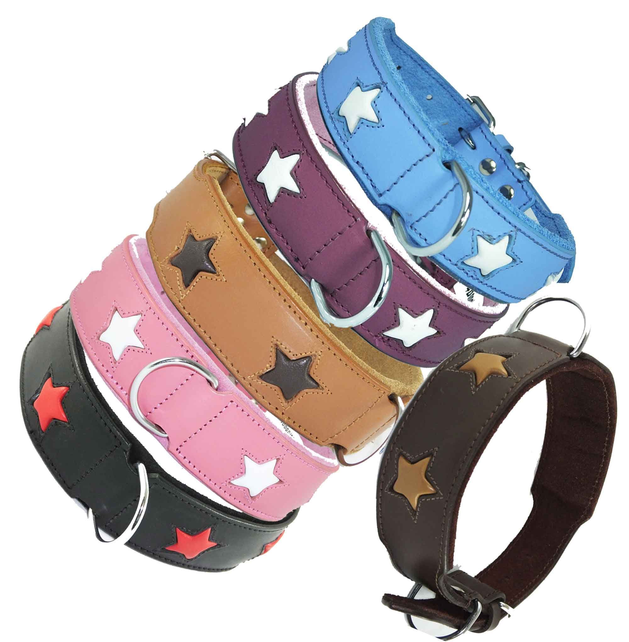 Leather Padded collar Staffordshire Bull Terrier Dog Collar Padded Dog Collars Staffy Bulldog Stars