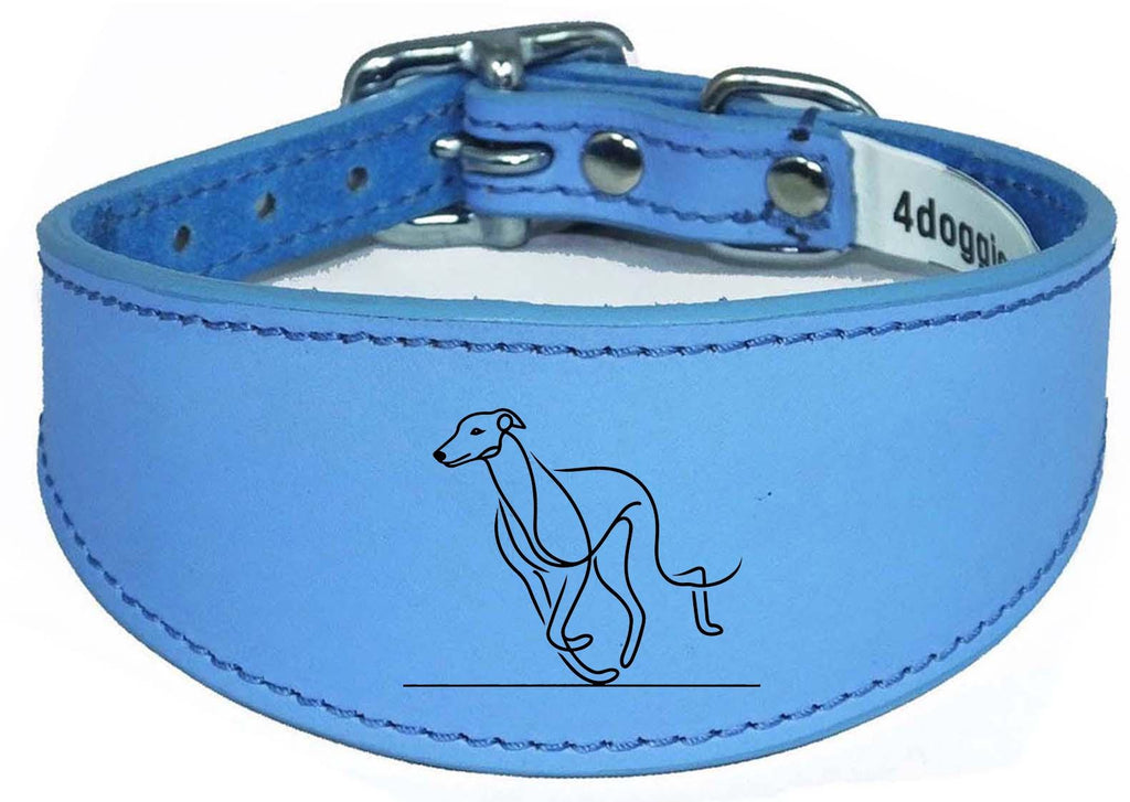 Sighthound Whippet Dog Collar Leather Greyhound with Padded Backing NL 6