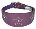 Purple Star Diamante Stitch Design Leather Whippet Collar Greyhound Collar Sight hound Dogs Collar