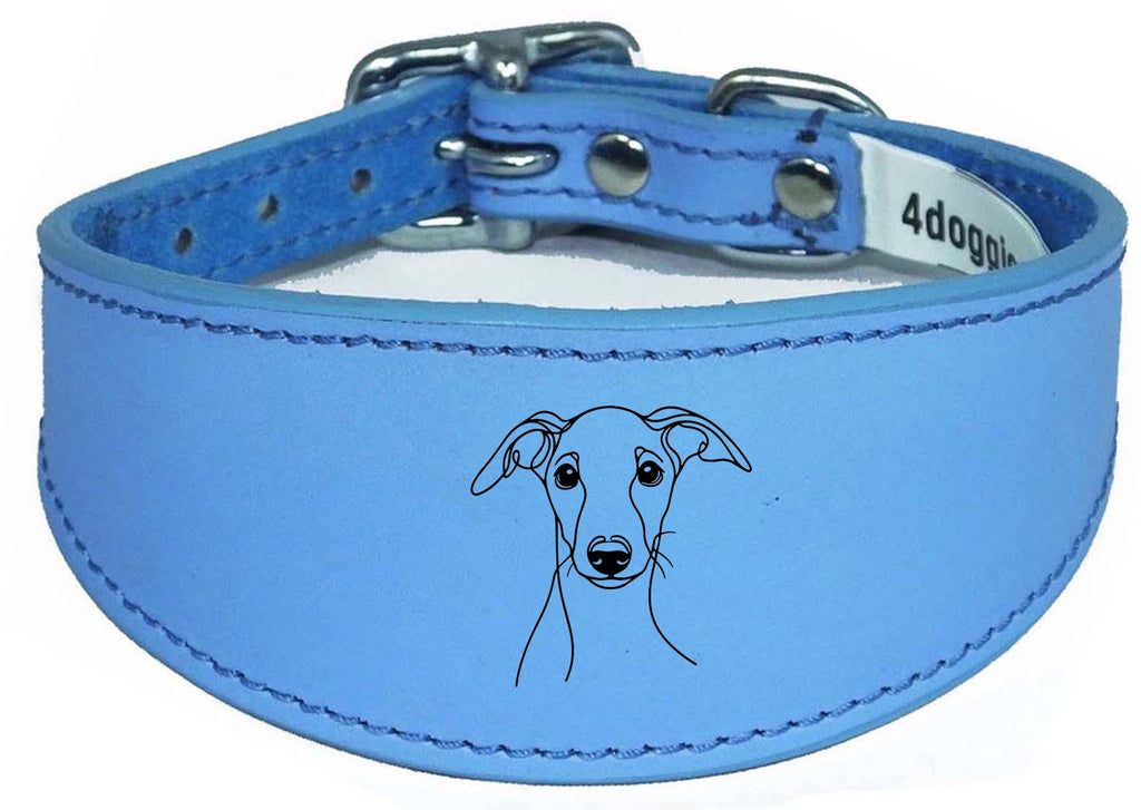 Wide Whippet Dog Collar Greyhound Sighthound  with Padded Backing NL 12