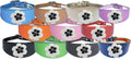 Whippet Greyhound Sighthound Lurcher Decorative Flower Design Leather Collar FD7-5