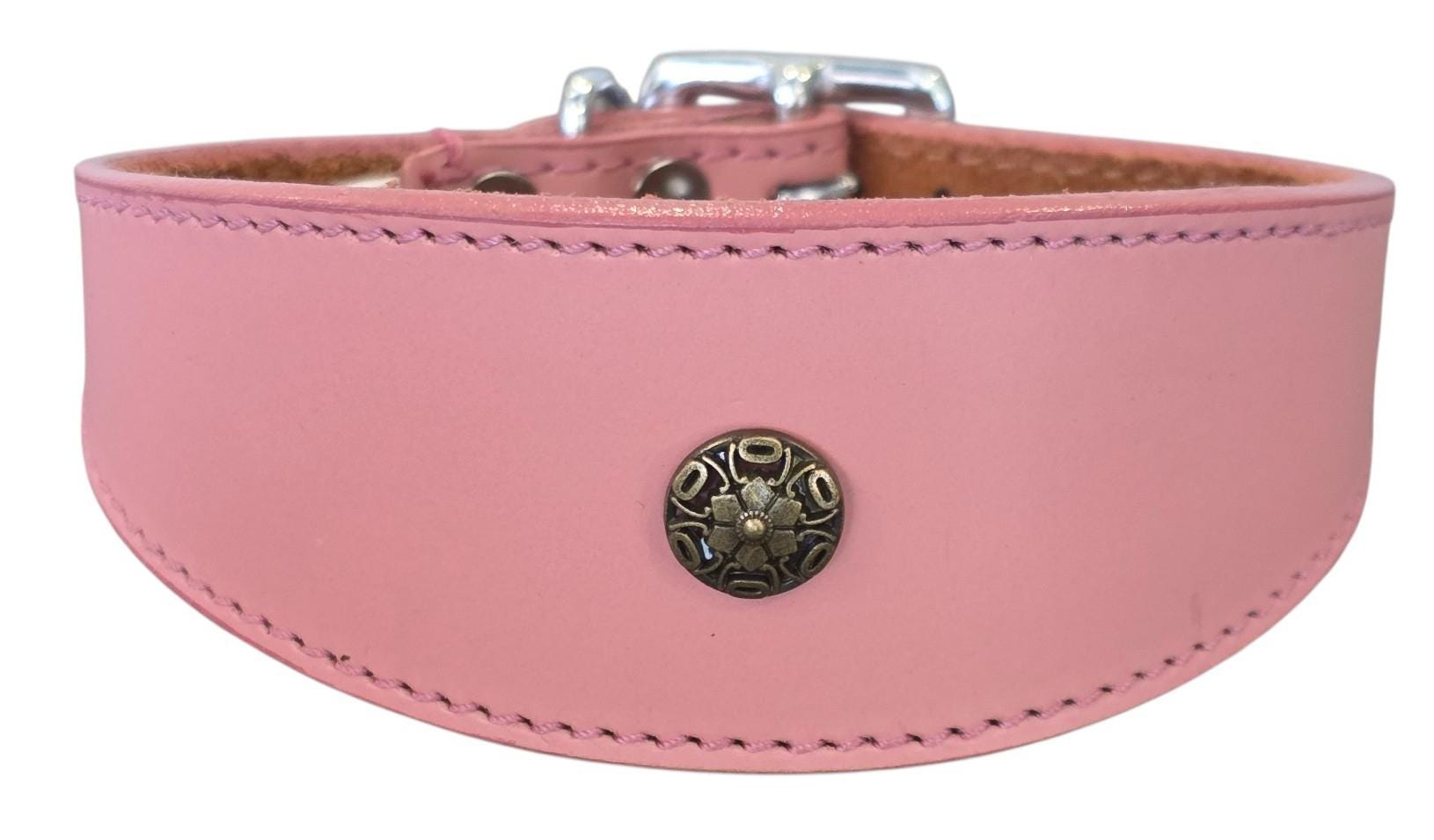 Leather Collar For Sighthound Whippet Greyhound Lurcher Decorative Stud Design DS9