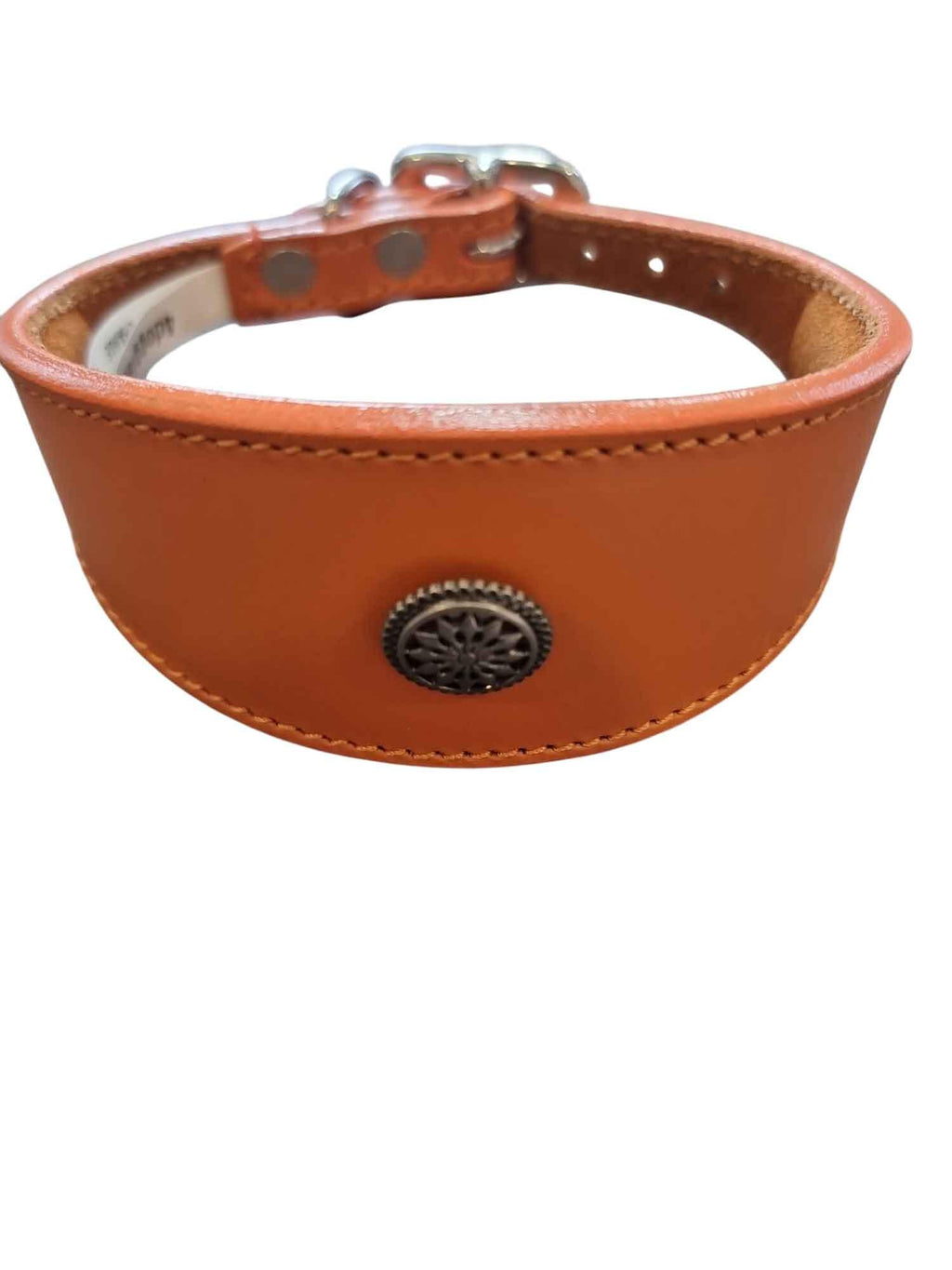 Leather Collar For Whippet Greyhound Lurcher Decorative Stud Design DS 3