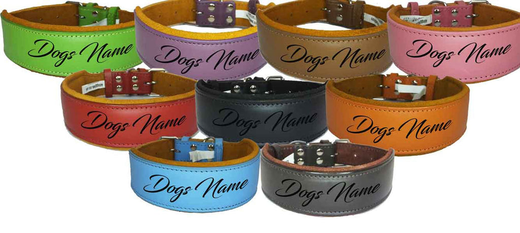 Personalised Leather Staffy Dog Collar Bull Terrier Bulldog Dogs Name Collar