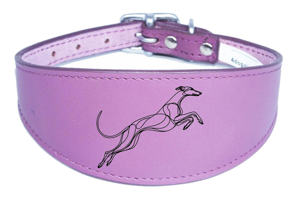 Sighthound Whippet Collar Luxury Padded Leather Handmade in the UK NL 19