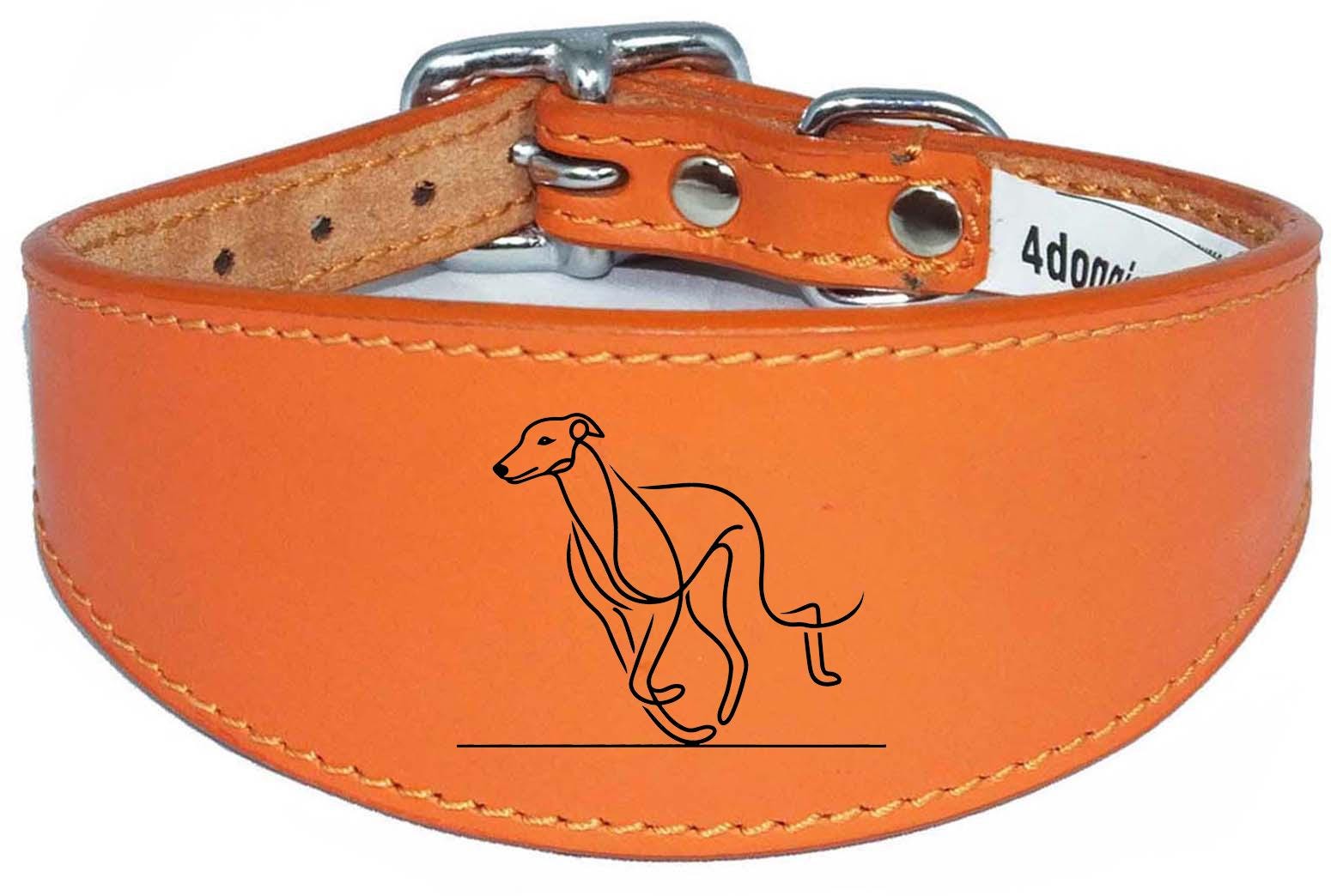 Sighthound Whippet Dog Collar Leather Greyhound with Padded Backing NL 6