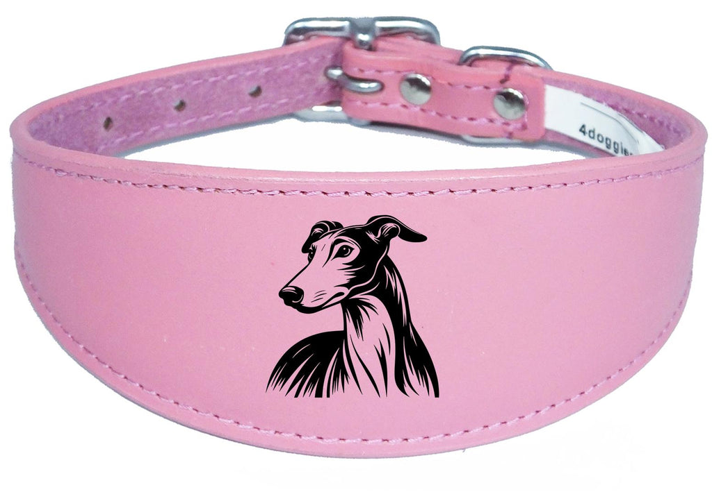 Whippet Greyhound Sighthound Padded Leather Luxury Collar NL 24