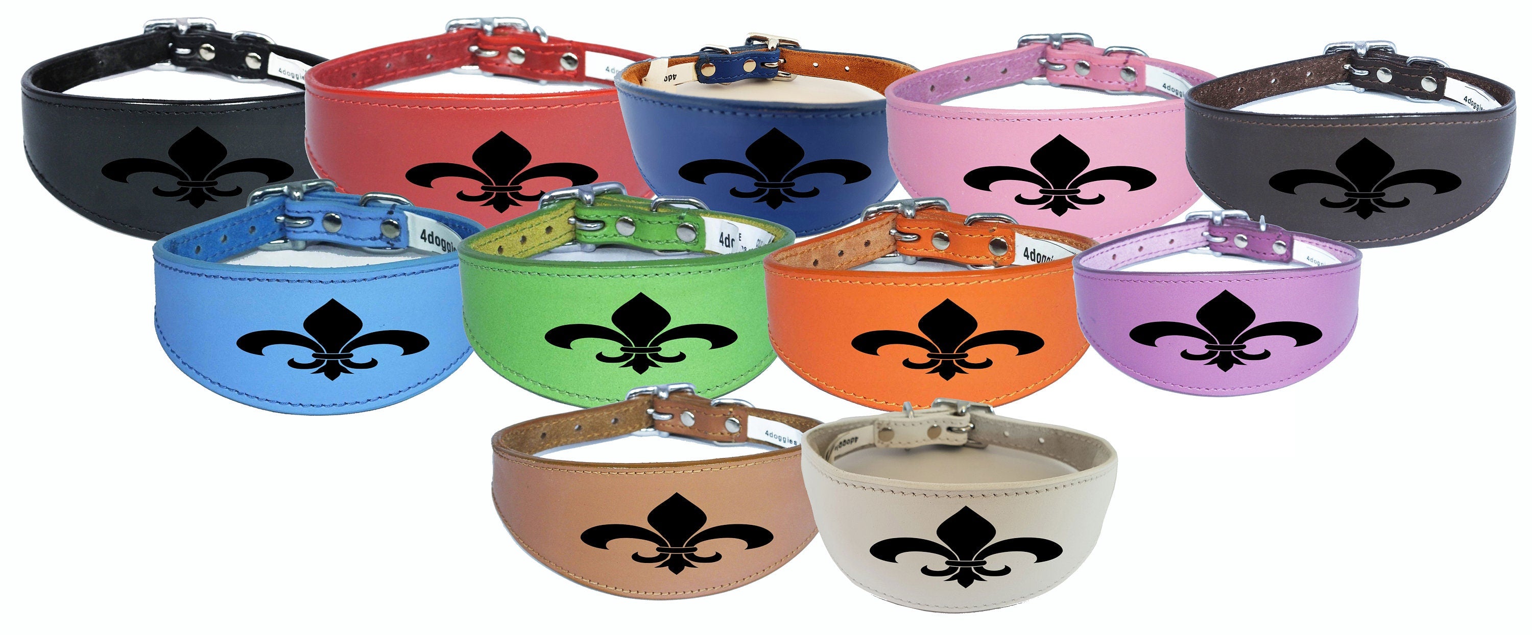 Dog Collar Leather Greyhound Collar Whippet Collar Padded Backing Laser Engraved D9