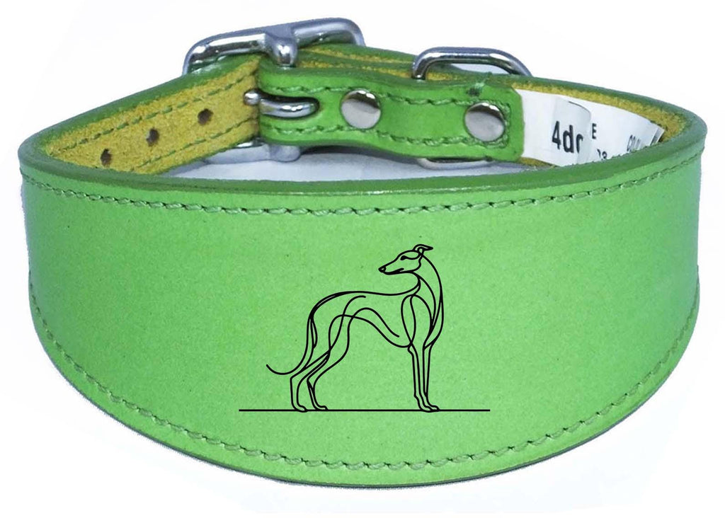 Engraved Leather Greyhound Whippet Dog Collar with Padded Backing NL 2