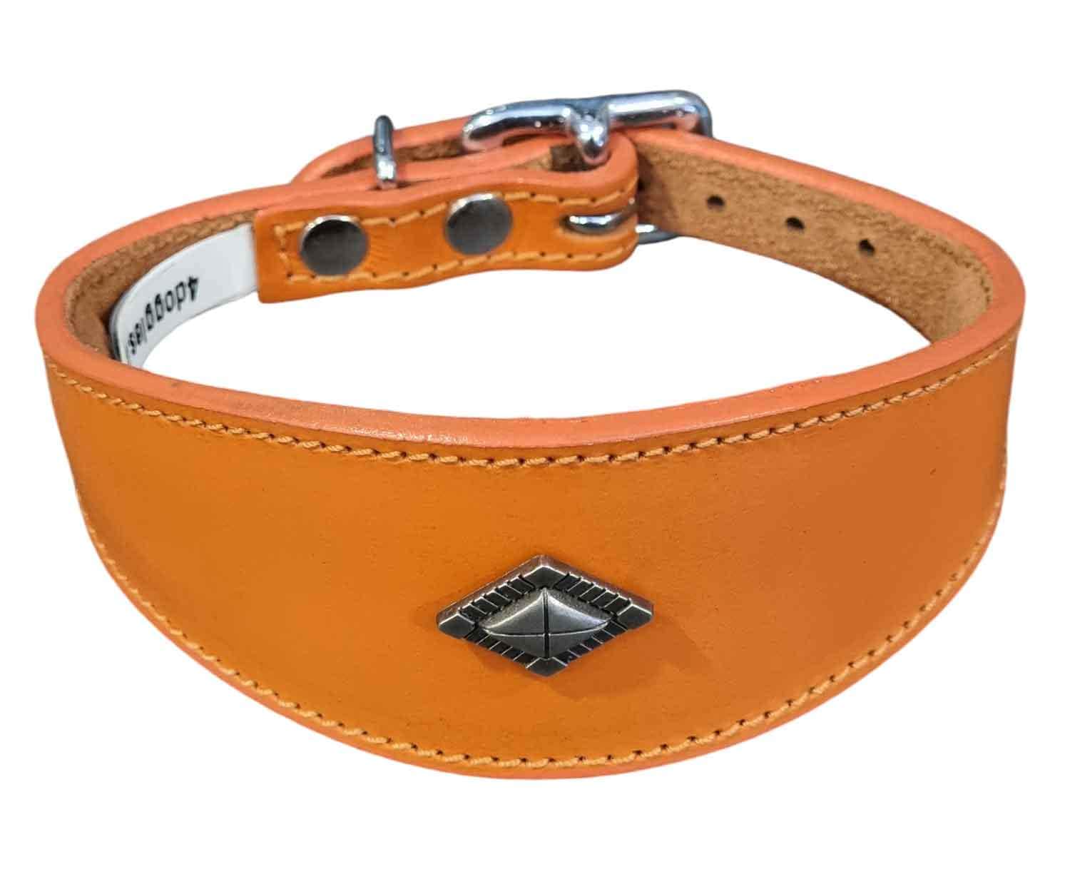 Leather Collar For Whippet Greyhound Lurcher Decorative Stud Design DS 1