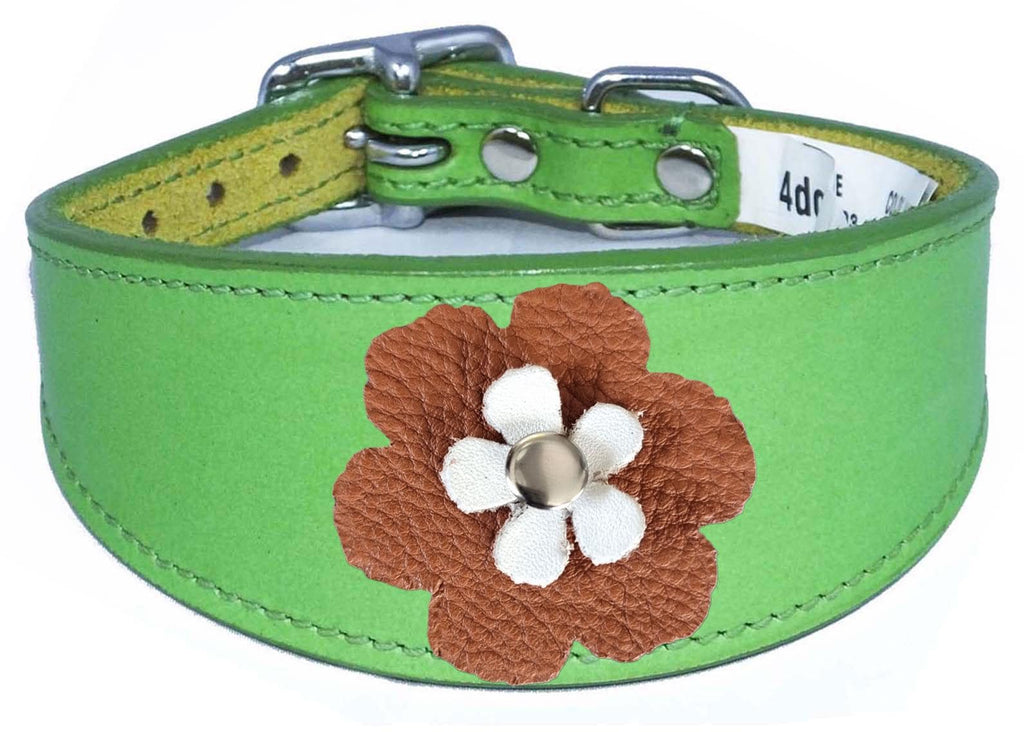 Sighthound Whippet Greyhound Lurcher Decorative Flower Design Leather Collar FD3-7
