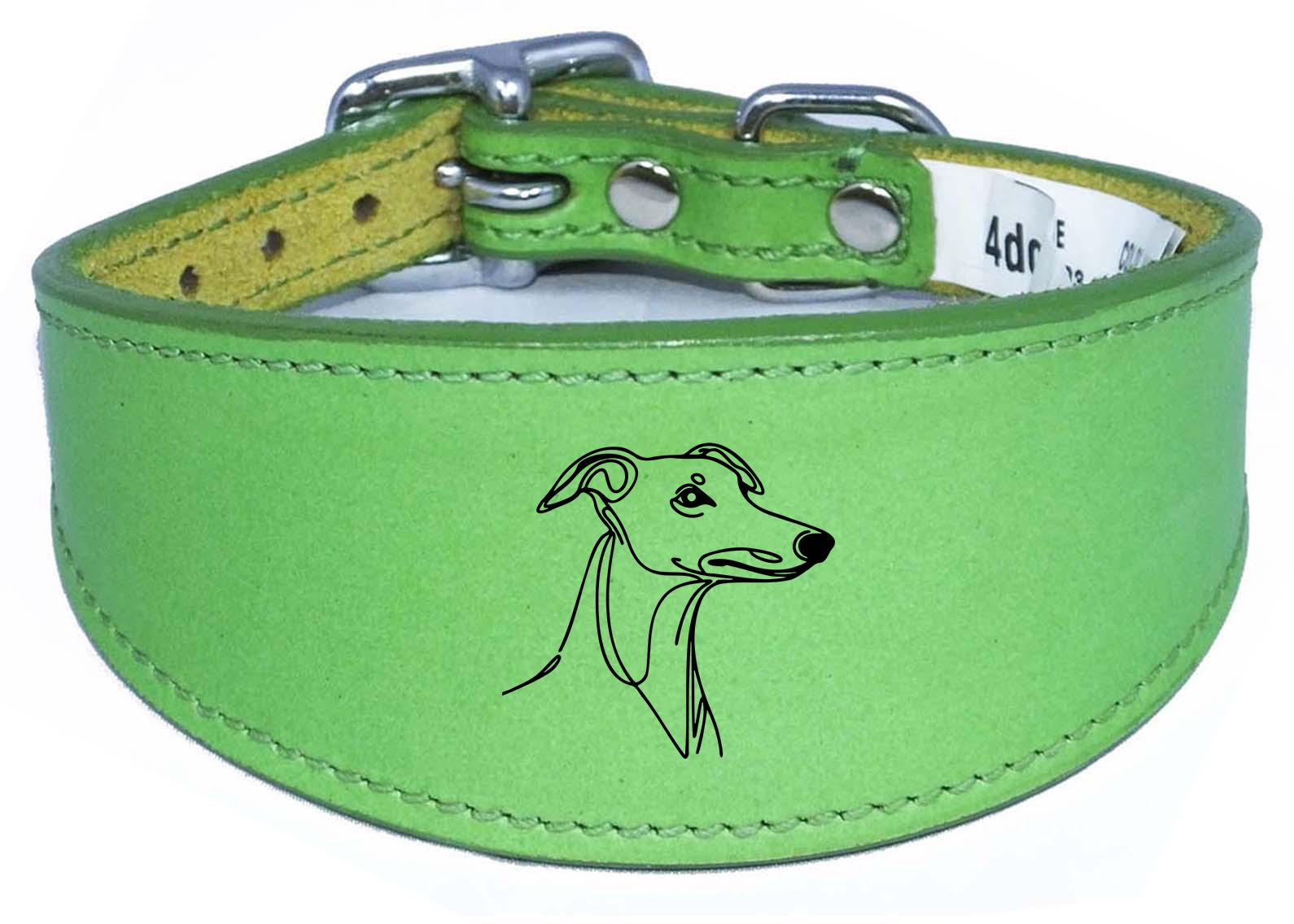 Padded Leather Collar Iggy Greyhound Whippet Sighthound NL 29