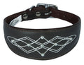 Brown Silver Stud Stitch Design Leather Whippet, Greyhound Collar Sighthound Dogs