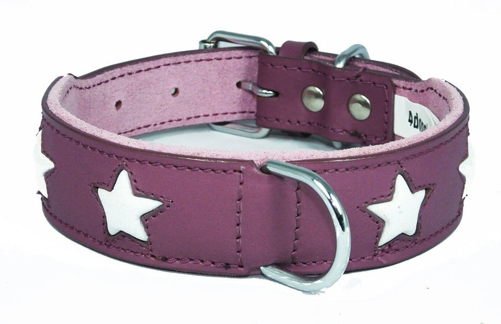 Leather Padded collar Staffordshire Bull Terrier Dog Collar Padded Dog Collars Staffy Bulldog Stars