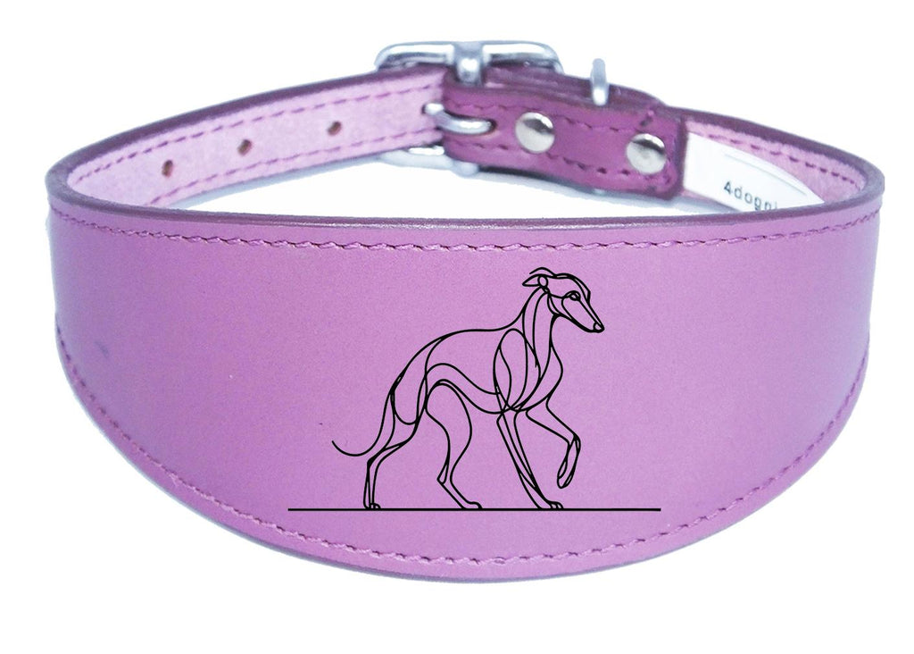 Whippet Wide Dog Collar Greyhound Sighthound with Padded Backing NL 14