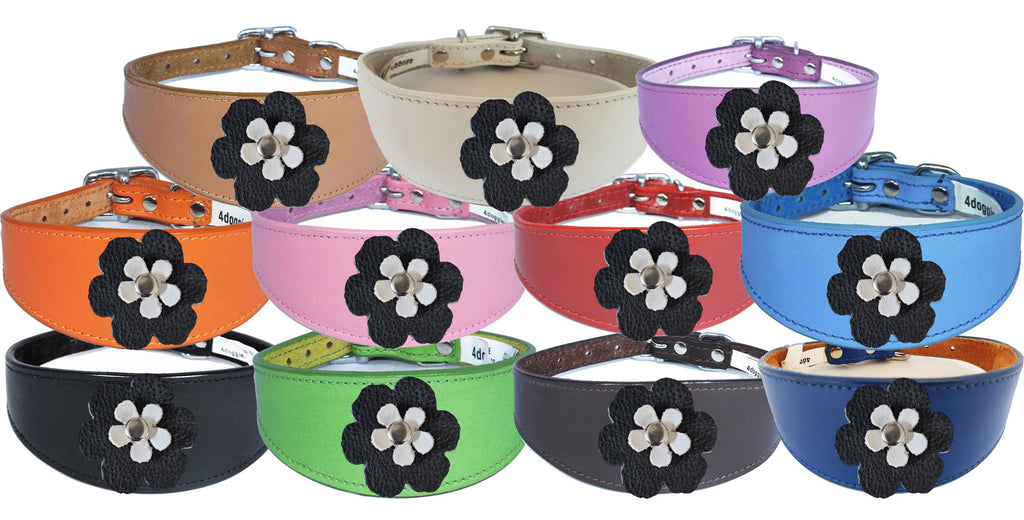 Whippet Greyhound Sighthound Lurcher Decorative Flower Design Leather Collar FD5-7